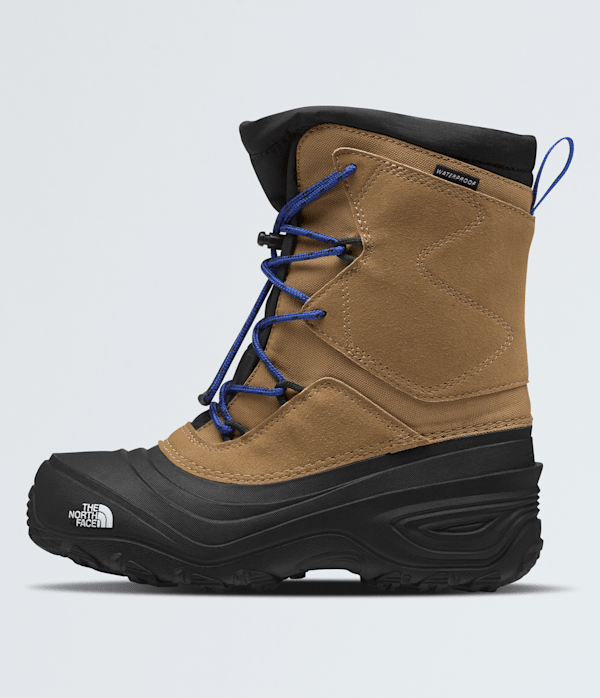 Youth Alpenglow V Waterproof Boots